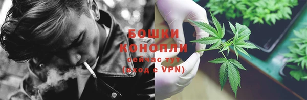 индика Балахна
