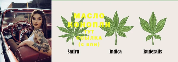 индика Балахна