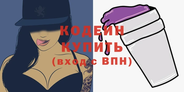 индика Балахна