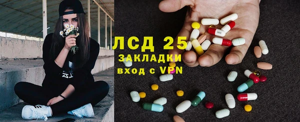 индика Балахна