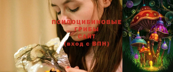 индика Балахна